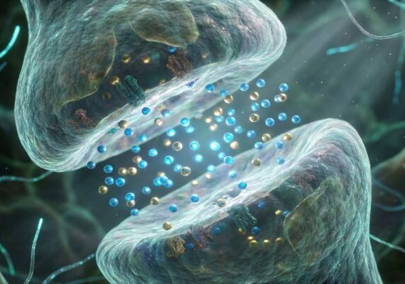 Scientists identify key brain mechanism behind ayahuasca’s ability to reduce PTSD symptoms