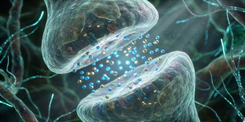 Scientists identify key brain mechanism behind ayahuasca’s ability to reduce PTSD symptoms