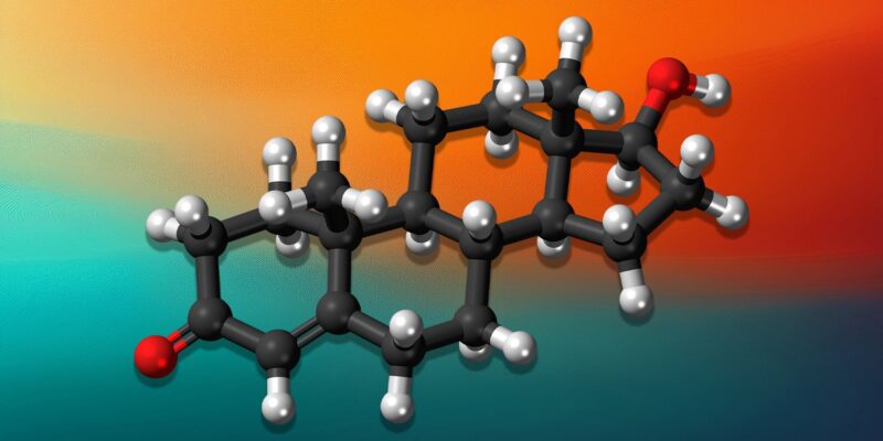 Gender-affirming hormone therapy linked to shifts in personality traits