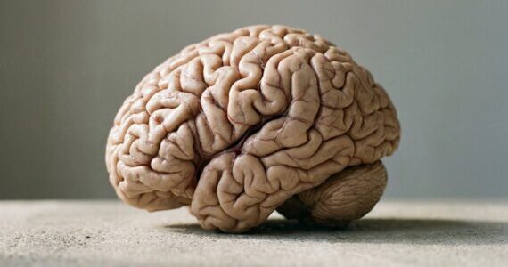 Why some neuroscientists now believe we have up to 33 senses