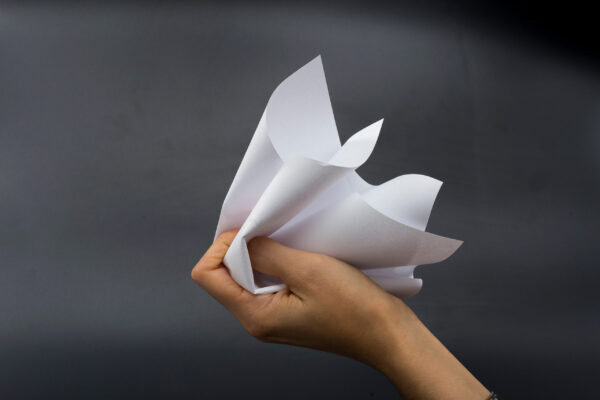 A capability framework is a change programme, not a document