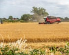 Food price fears after Europe’s heatwave destroys estimated €2bn of crops