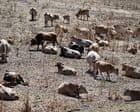 Western Europe records hottest-ever June as heatwaves intensify